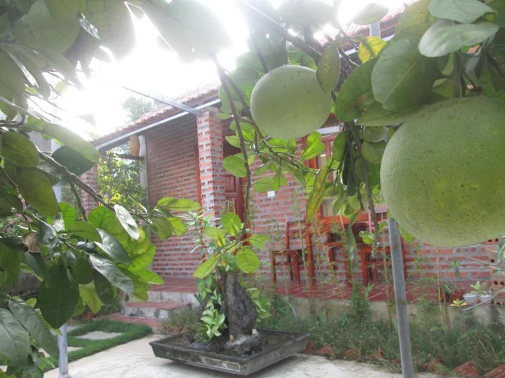 Зявьен: Ninh Binh Nature Homestay