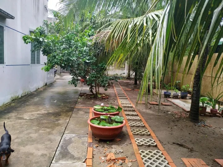 Бенче: Hoa Dua Homestay