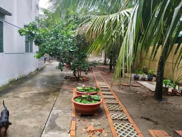 Бенче: Hoa Dua Homestay