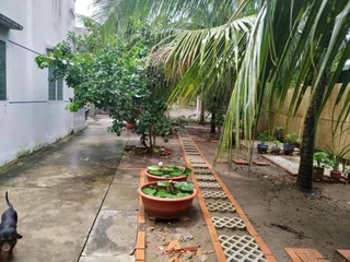Бенче: Hoa Dua Homestay