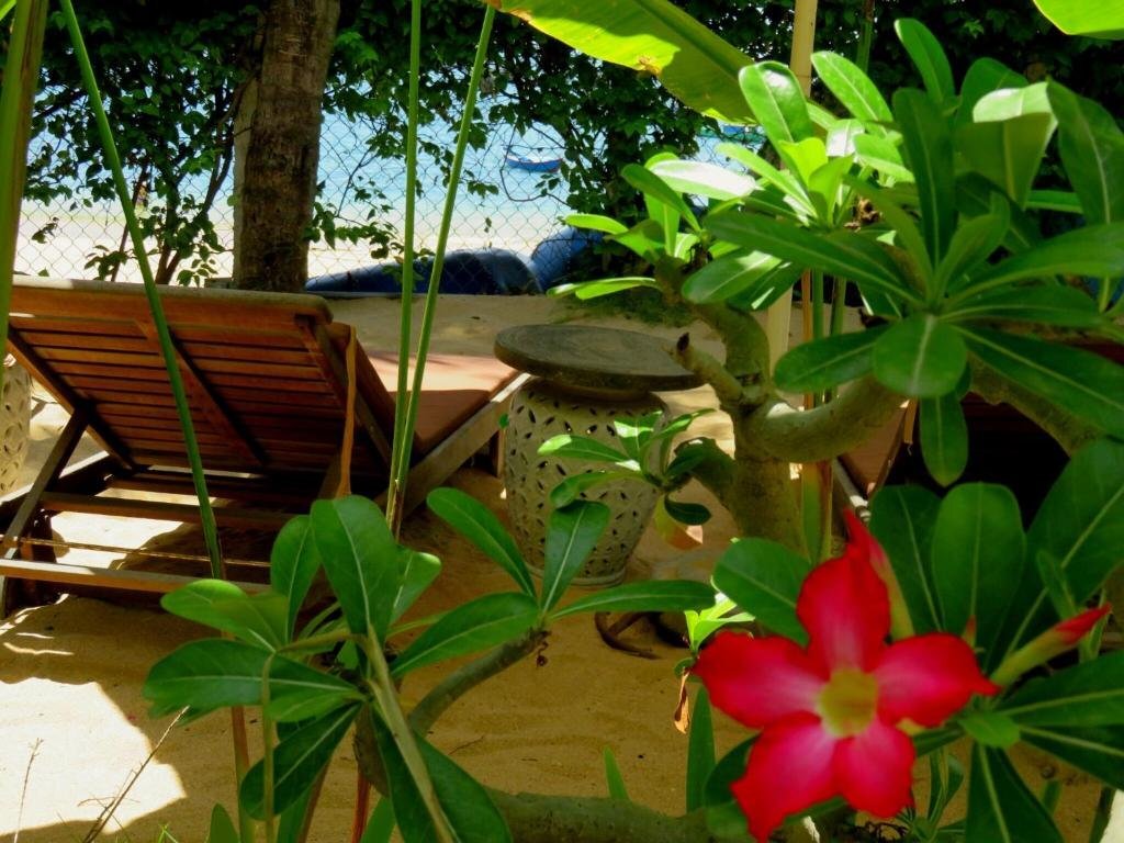 An Nhon: Big Tree Backpackers And Bistro