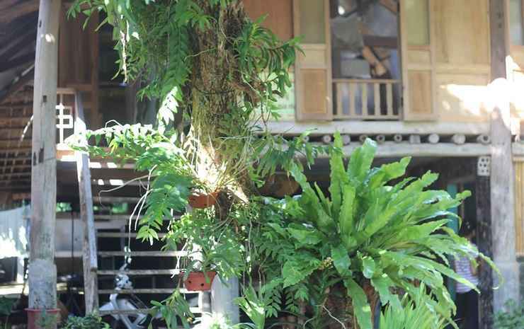Маи-Чау: Hoa Ban Homestay