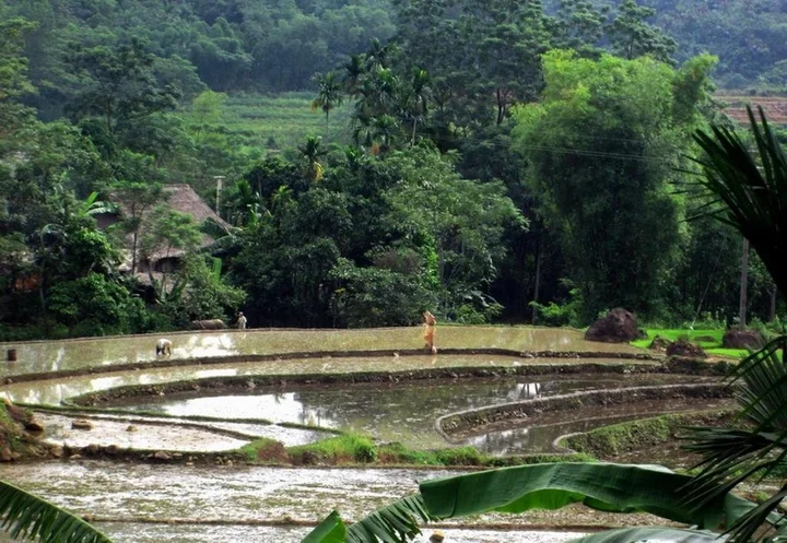 Маи-Чау: Minh Tho Homestay