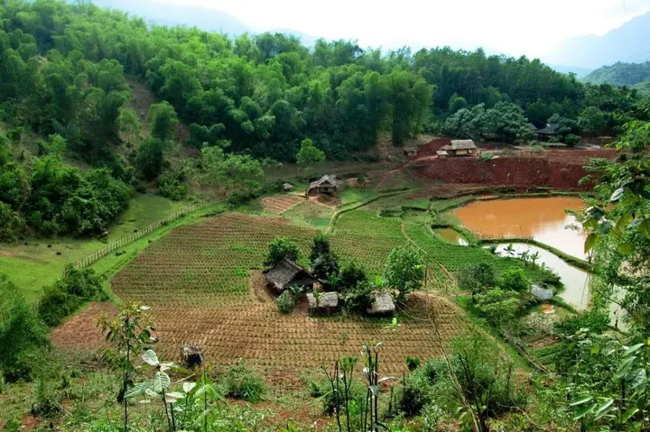 Маи-Чау: Minh Tho Homestay