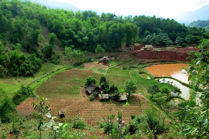 Маи-Чау: Minh Tho Homestay