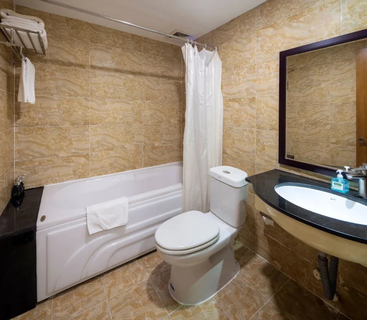 Хошимин: Viet Lotus Saigon Hotel