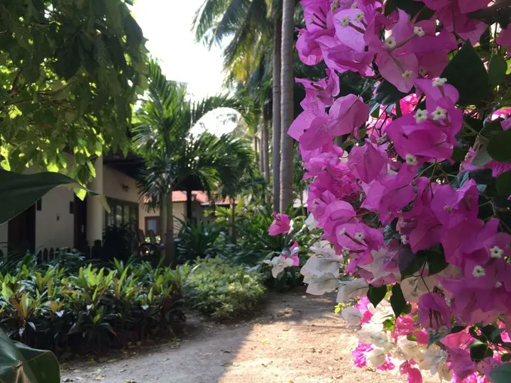 Нячанг: Diamond Bay Resort and Spa