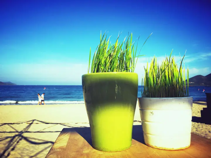 Нячанг: Diamond Bay Resort and Spa