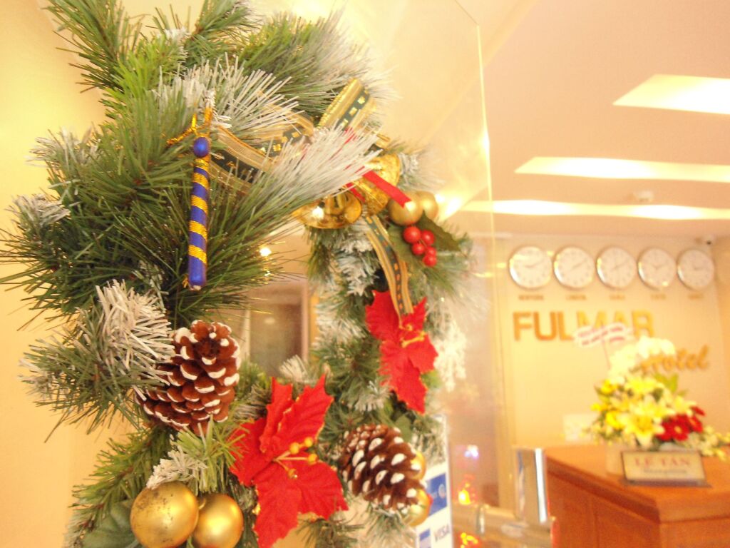 Дананг: Fulmar Hotel