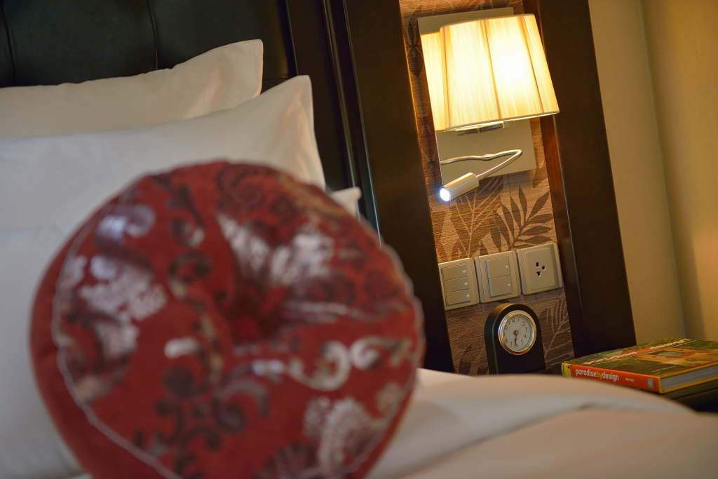Халонг: Paradise Suites Hotel