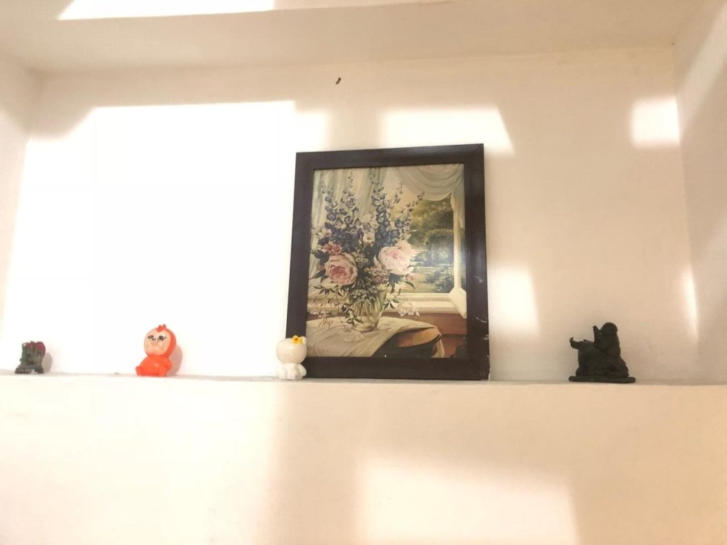 Хошимин: Anh Dao Guesthouse
