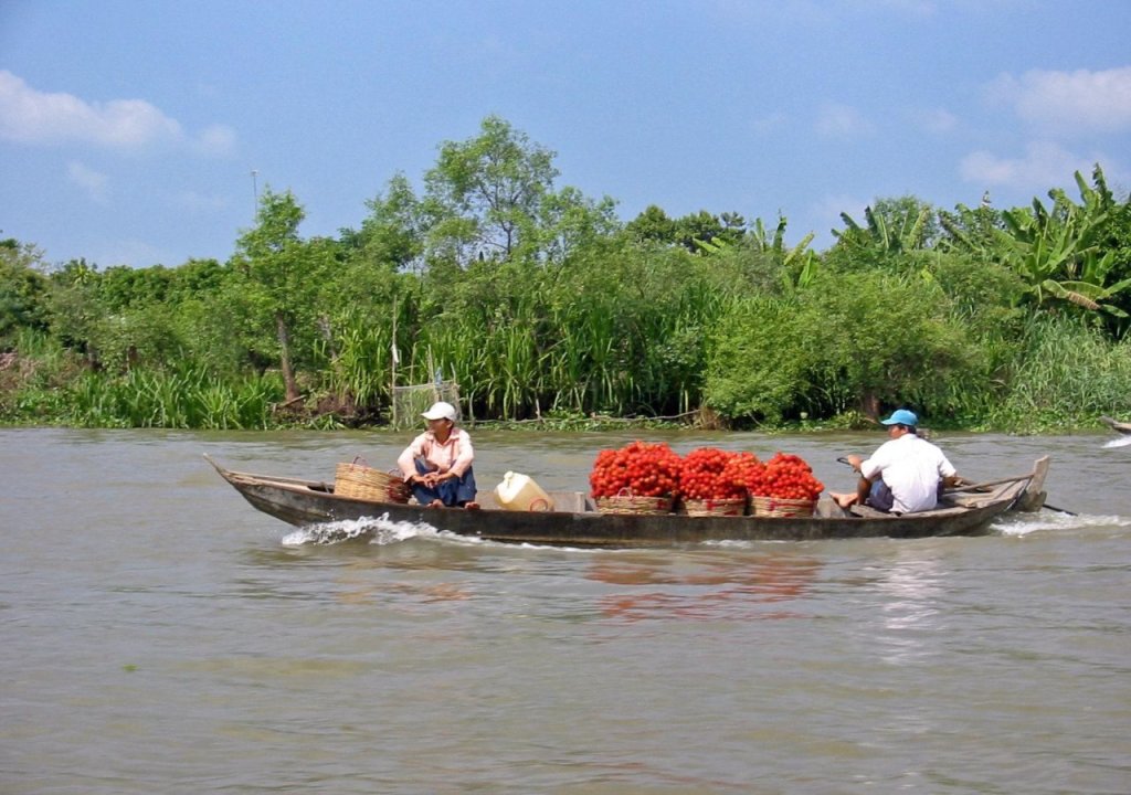 Хошимин: Anh Dao Guesthouse