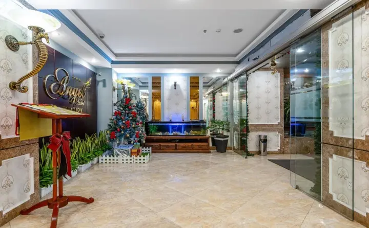 Дананг: Angel Hotel