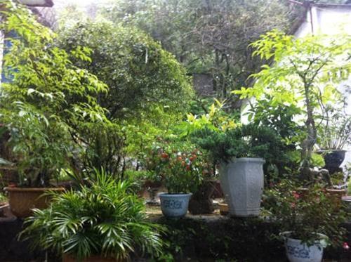 Шапа: Bao Ngoc Hotel