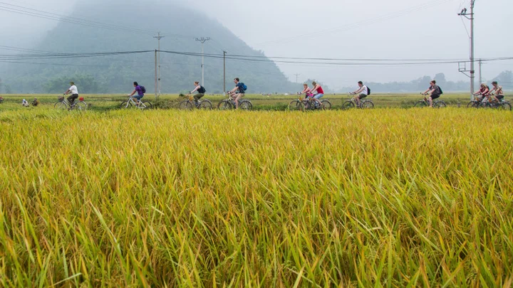 Маи-Чау: Mai Chau Lodge