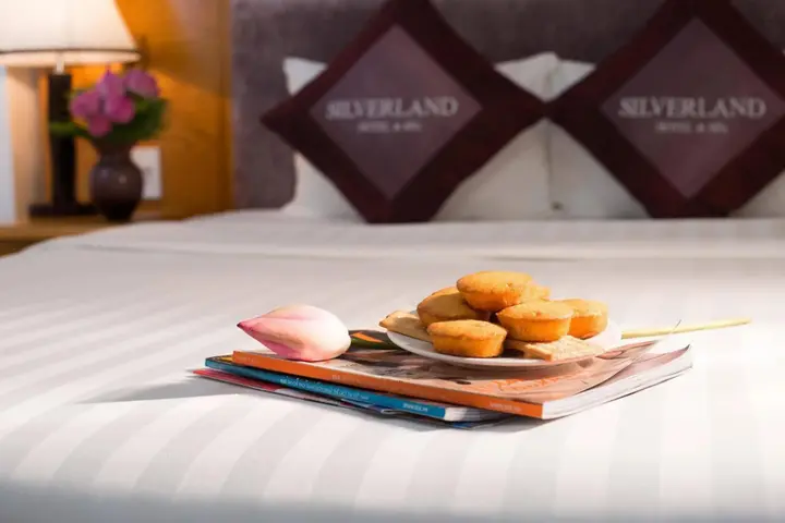 Хошимин: Silverland Sil Hotel