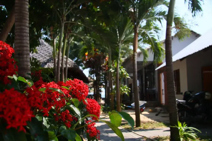Фантхьет: Mai Am Guest House