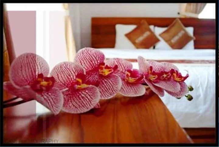Дананг: Sunsea Hotel
