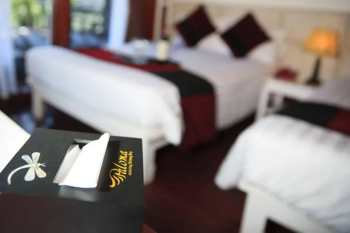 Халонг: Halong Paloma Cruise