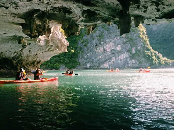 Халонг: Halong Paloma Cruise