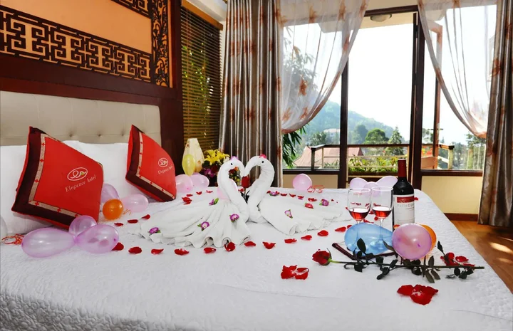 Шапа: Sapa Elegance Hotel