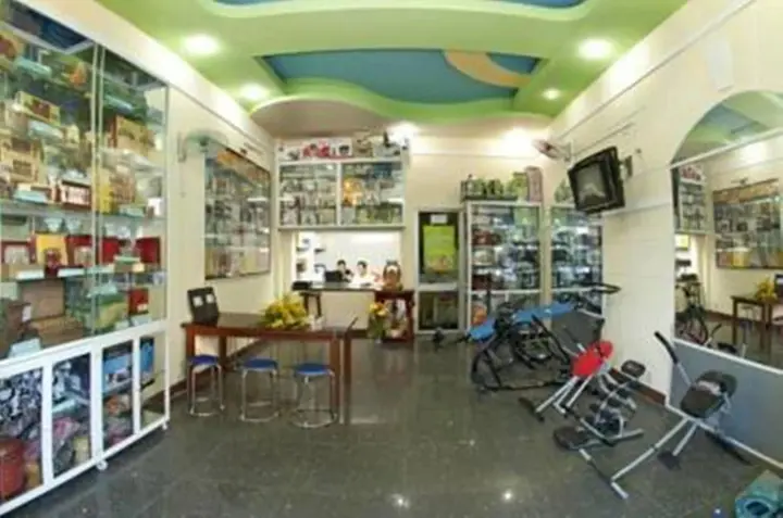 Дананг: Song Thu Hotel