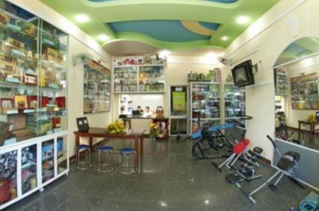 Дананг: Song Thu Hotel