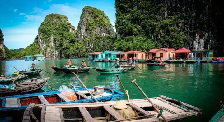 Халонг: HaLong Canary Cruise
