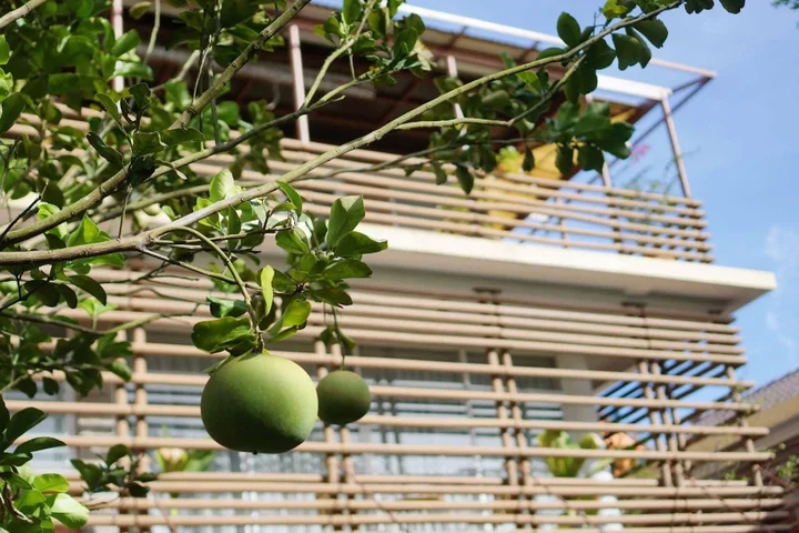 Хойан: Rock Villa Hoi An