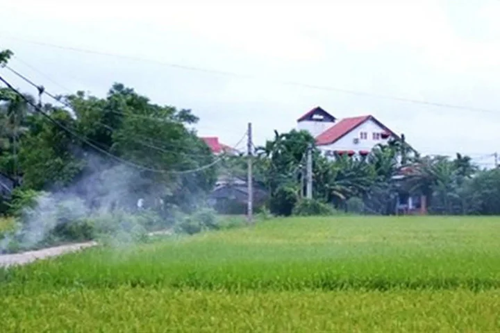 Хойан: Rock Villa Hoi An