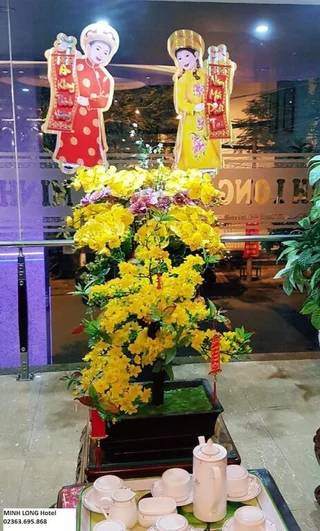 Дананг: Minh Long Hotel