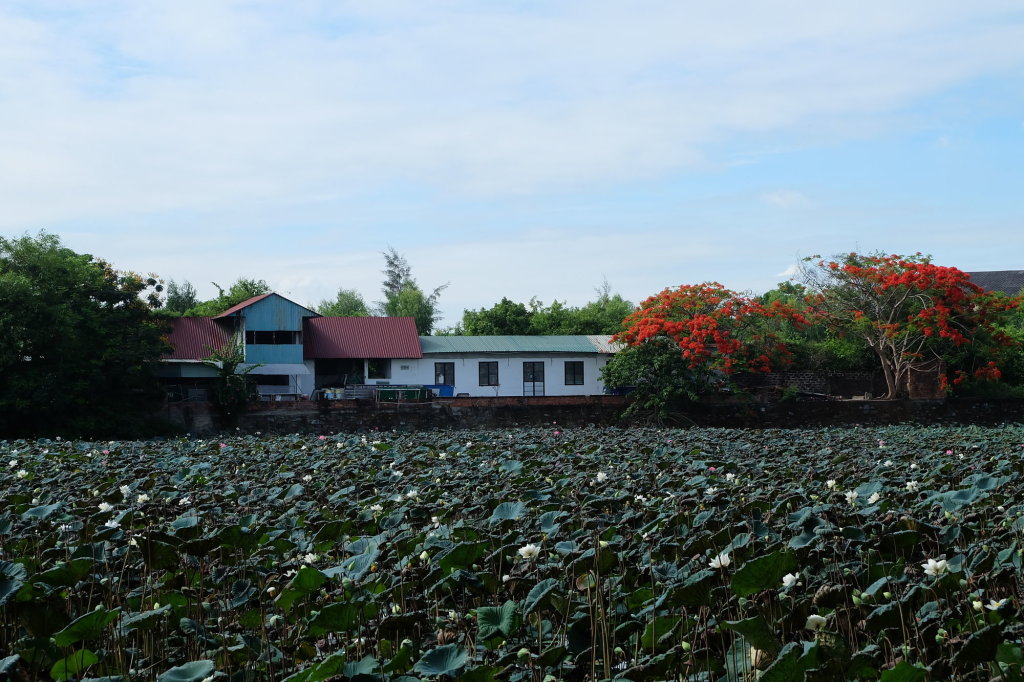 Дананг: Dai Long Hotel