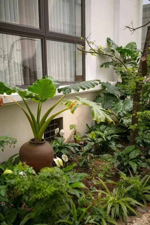 Хоа Лу: Tam Coc Nam Hoa Hotel and Spa