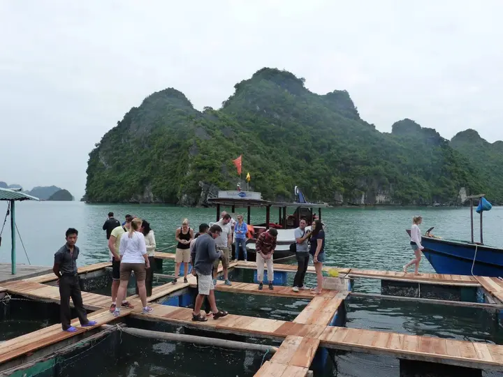 Халонг: Gray Line Halong Cruise
