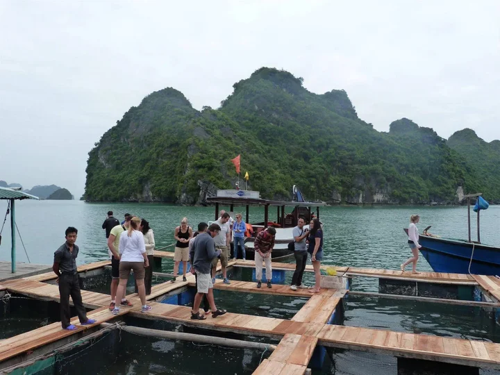 Халонг: Gray Line Halong Cruise