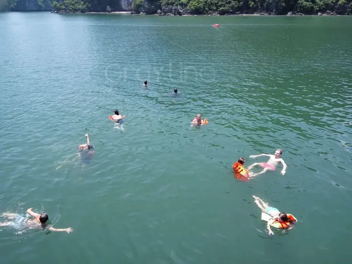 Халонг: Gray Line Halong Cruise