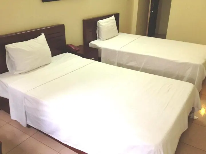 Ханой: Hanover Hotel