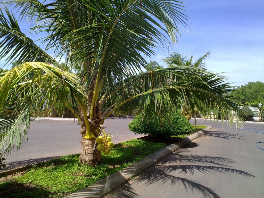 Фантхьет: Mui Ne Village Resort