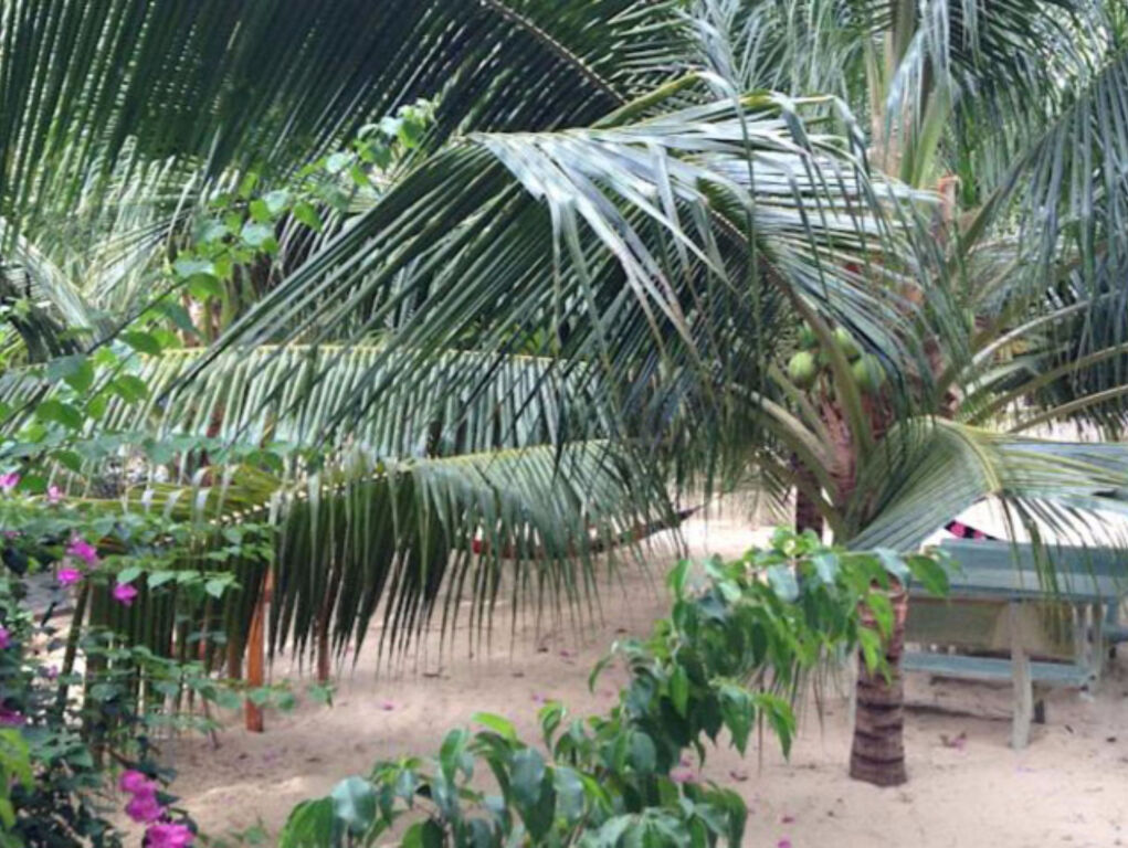 Фантхьет: Cocosand Hotel