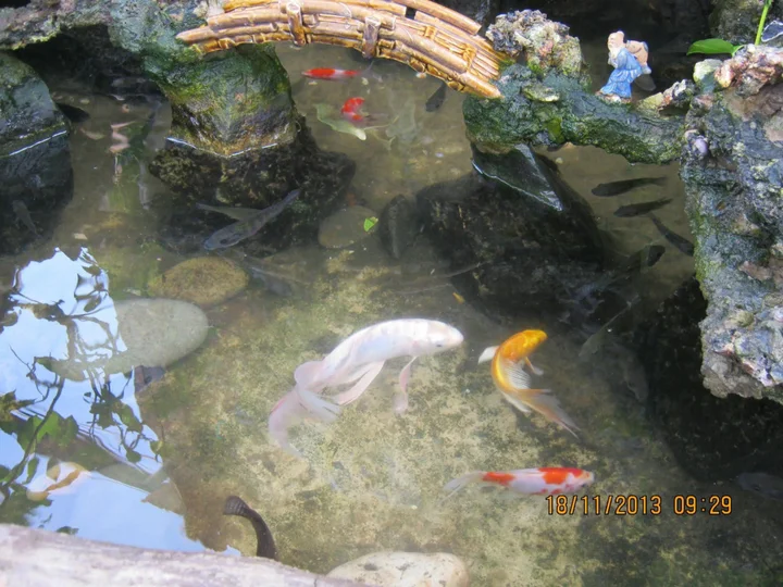 Фантхьет: Sea Winds Resort