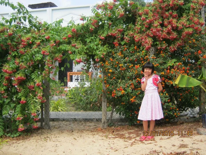 Фантхьет: Sea Winds Resort