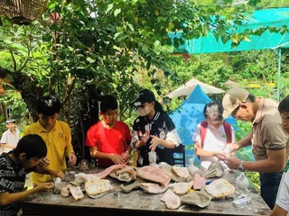 Хюэ: Hue Lotus Homestay
