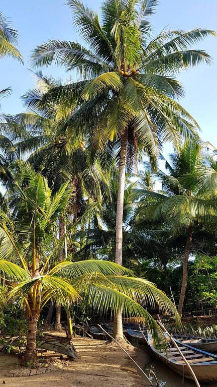 Бенче: Гостевой дом Nhon Thanh Homestay