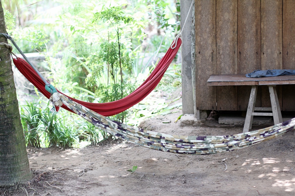 Бенче: Гостевой дом Nhon Thanh Homestay