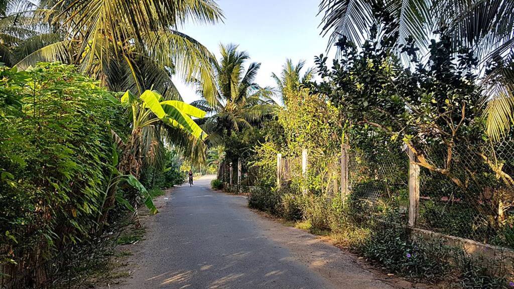 Бенче: Гостевой дом Nhon Thanh Homestay