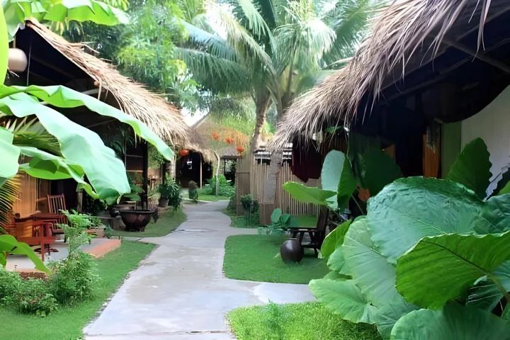 Хойан: Under the coconut tree - Hostel