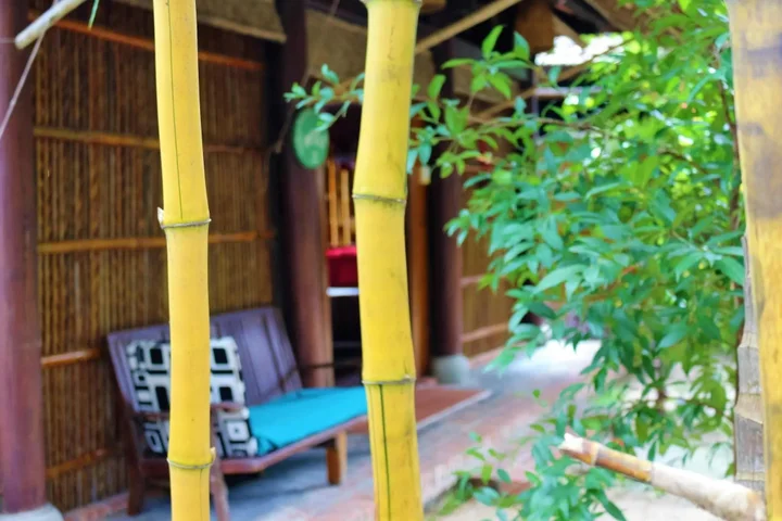 Хойан: Under the coconut tree - Hostel