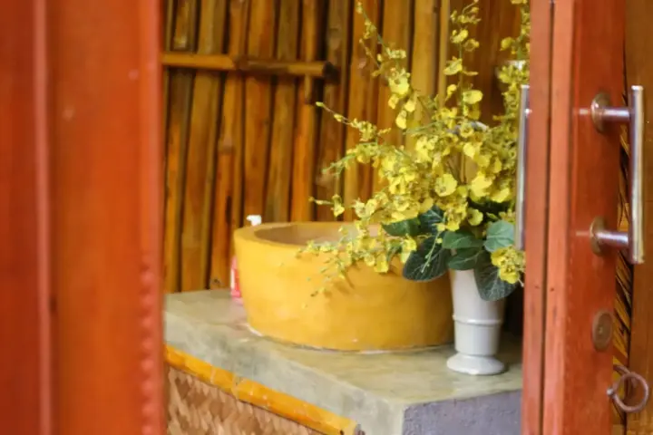 Хойан: Under the coconut tree - Hostel
