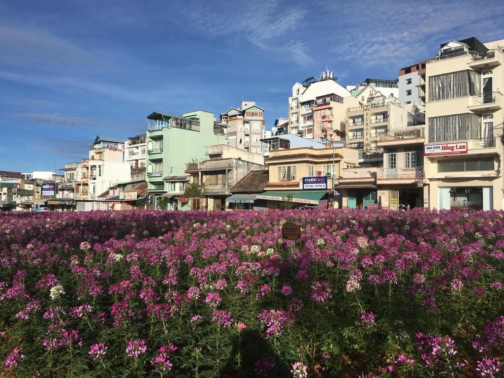 Далат: Phung Hong Hotel