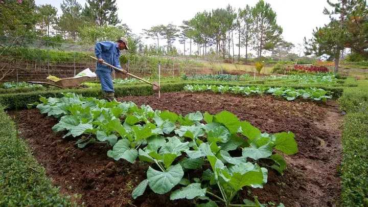 Далат: Binh An Village Dalat Resort